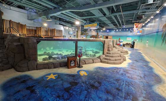 Entertainment and attractions near Ciel Apartments